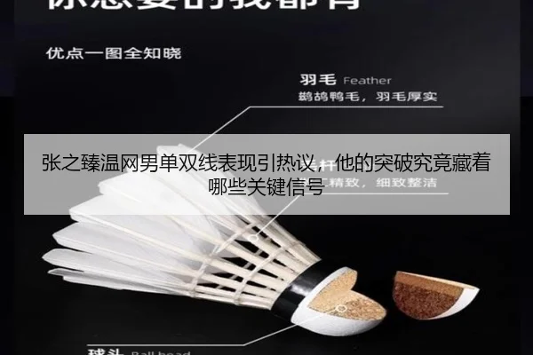张之臻温网男单双线表现引热议，他的突破究竟藏着哪些关键信号